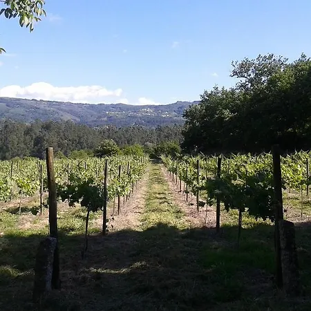 Casa Da Breia * Carregadouro