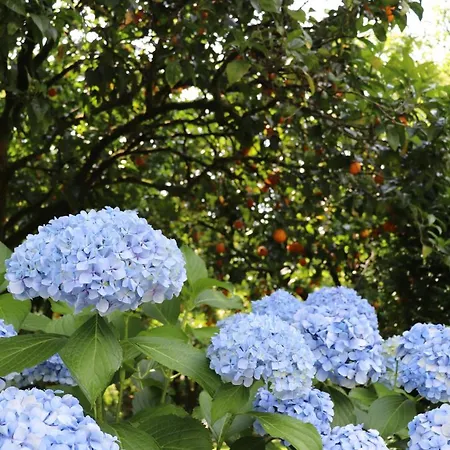 Casa Da Breia Carregadouro