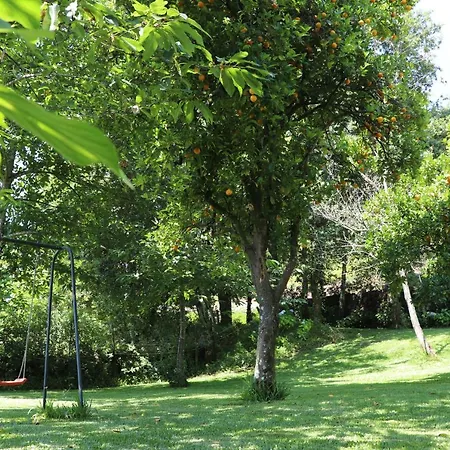Holiday home Casa Da Breia Carregadouro