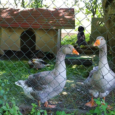 Casa Da Breia Dom wakacyjny *