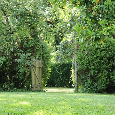 Casa Da Breia Dom wakacyjny Carregadouro