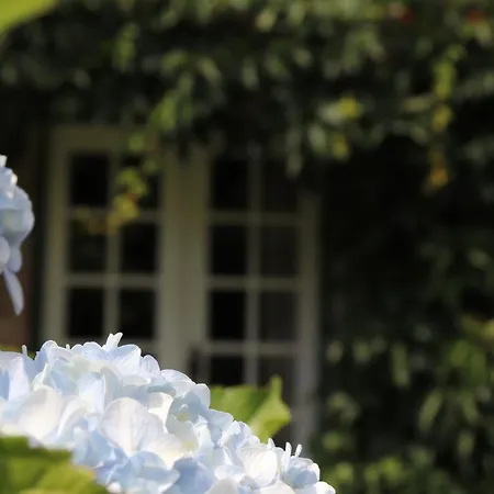 Dom wakacyjny Casa Da Breia Carregadouro