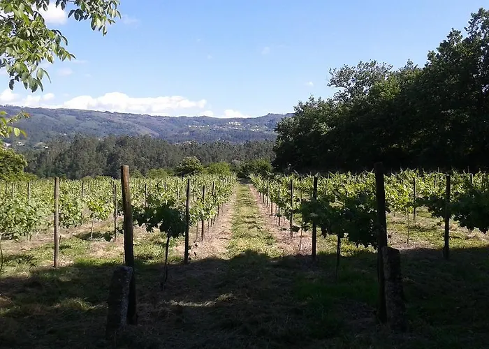 Casa Da Breia * Carregadouro