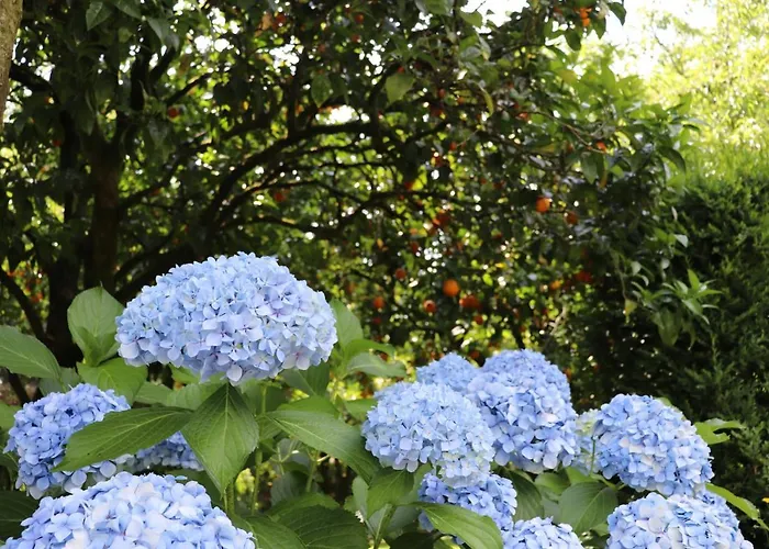 Casa Da Breia Carregadouro