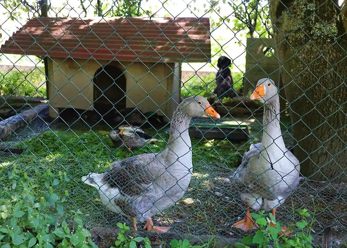 Casa Da Breia Дом отдыха *