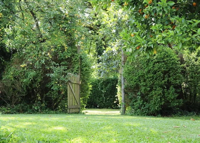 Casa Da Breia Дом отдыха Carregadouro