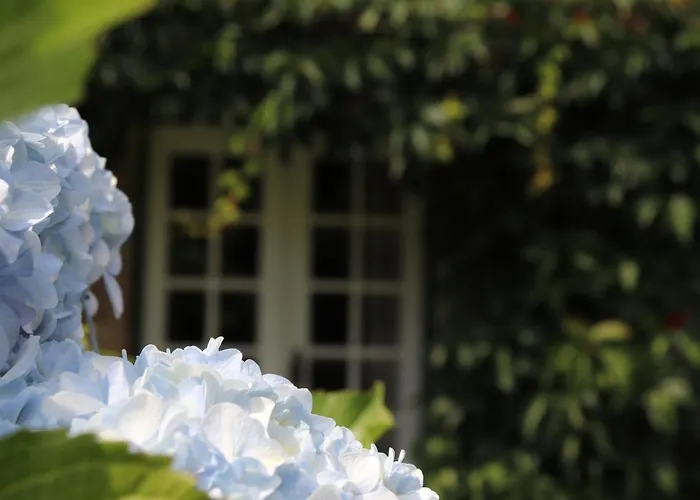 Holiday home Casa Da Breia Carregadouro