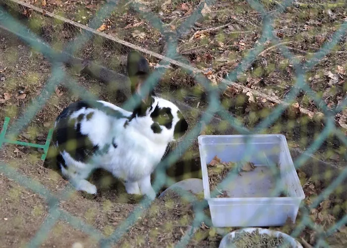 Casa Da Breia Holiday home Carregadouro